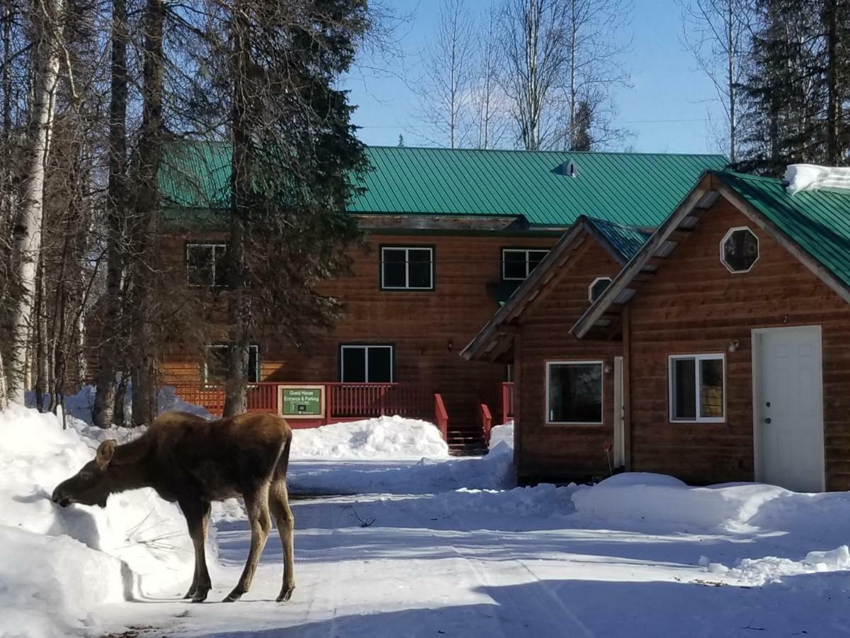 Talkeetna Hideaway Hotel Exterior foto